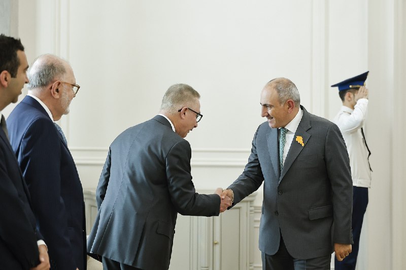 Встреча премьер-министра Никола Пашиняна с делегацией AMAA в Варденисе