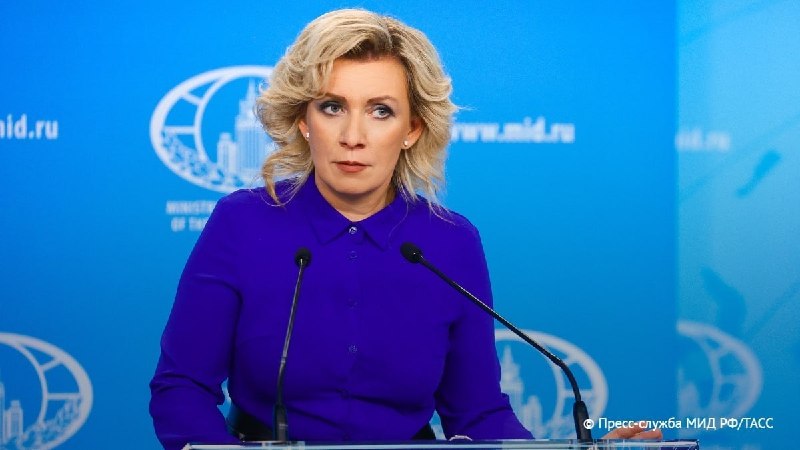 Выборы в Сюникской области: Захарова заявила о давлении на оппозицию