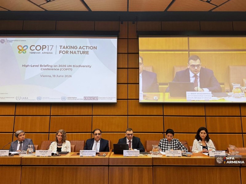 В ООН представлены планы Армении по проведению COP17 по биоразнообразию в Ереване в 2026 году