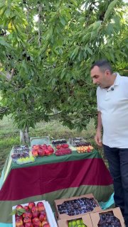 Первая партия армянских фруктов из Сюника отправлена в ОАЭ